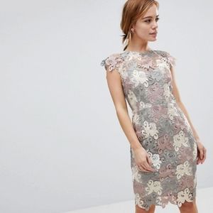 Petite Lace Pencil Dress